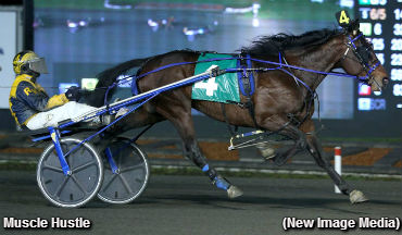 Tie Silk Triumph For Muscle Hustle