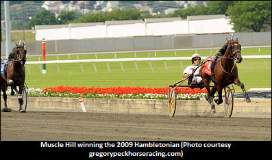 Vernon Announces The Muscle Hill Stakes