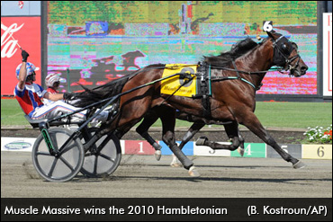 Muscle Massive On The Move