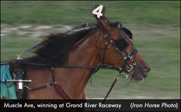 Muscle Ave Powers To Preferred Win