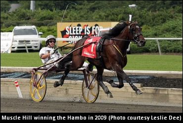 Muscle Hill To Pennsylvania