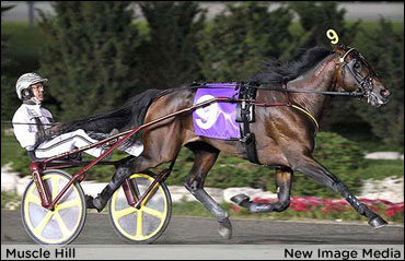 Peck Enjoying The Ride With Muscle Hill