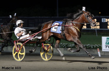 Muscle Hill Leads Colts To Hambo; Oaks Elims Contested