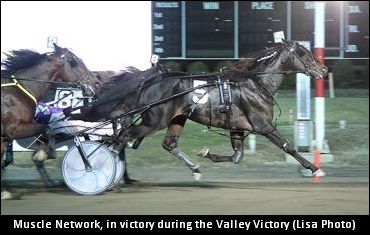 Muscle Network Moves Again