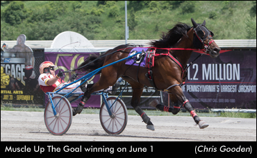 Muscle Up The Goal Sets Record