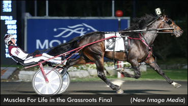 Grassroots Champions Crowned