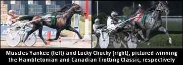 Winbak NY To Stand Lucky Chucky & Muscles Yankee