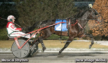Trotapalooza At Woodbine