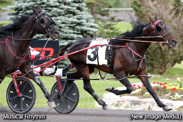 Records Matched By Musical Rhythm