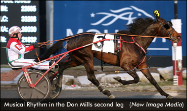 Musical Rhythm Romps In Don Mills