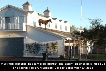 Update: Rooftop Climber Sold