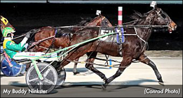 Krasnicans Delighted With 'Ninkster'