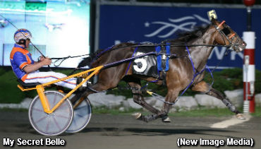 Favourites Dominate Gold Divisions