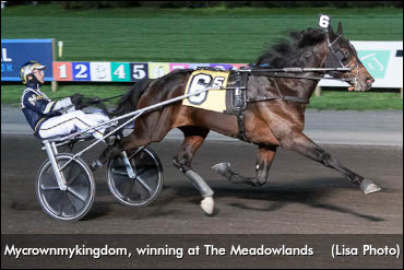 Hambo Hopeful Wins For Determination Hambo Hopeful Wins For Determination