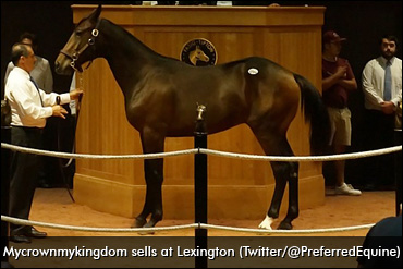 Winning Debut For $450,000 Yearling
