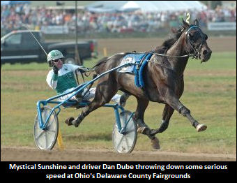 Regally-Bred First Foal Qualifies