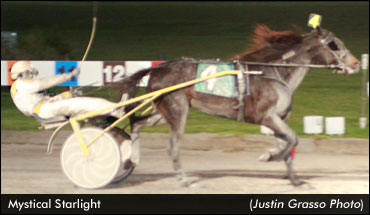Ont.-Owned Mares Win Yonkers Opens