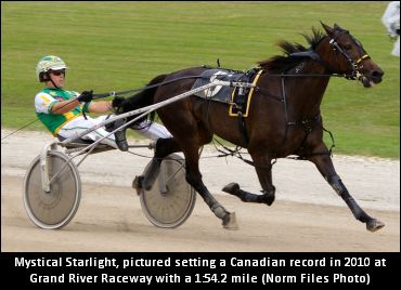 Hobin On ‘Starlight’s Retirement