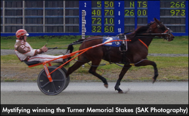 Mystifying Thwarts Turner Fillies