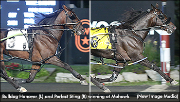 Bulldog Hanover, Perfect Sting Pop In ‘Cup’ Eliminations