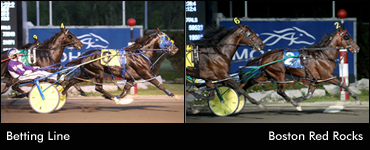 North America Cup Starters Set