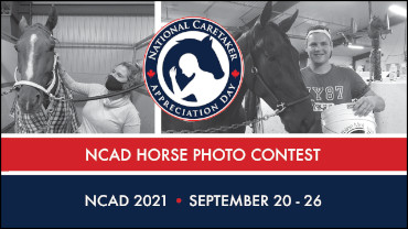 For The Love Of The Horse: NCAD Photo Contest