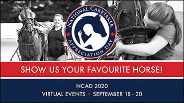 Show Us Your Favourite Horse! 