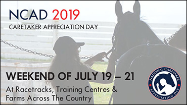 Gearing Up For 2019 NCAD Events