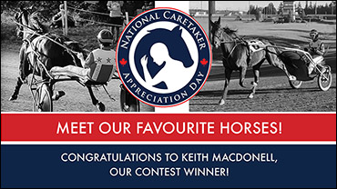 Show Us Your Fave Horse Contest Winner