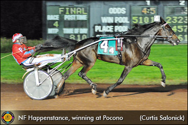 A Life-Changing Horse...Twice A Life-Changing Horse...Twice