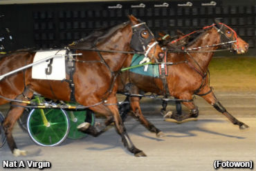 Nat A Virgin Wins A Thriller