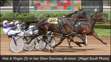 Grand Circuit Stakes Continue