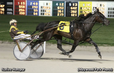 Record Mile For Native Hotspur In BetZotic