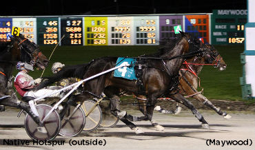 Native Hotspur Remains Perfect In Filly Maywood Pace