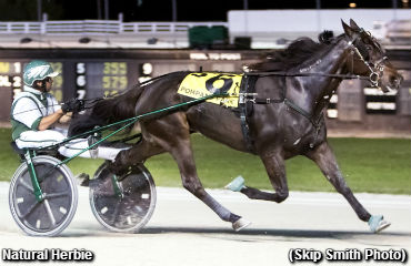 Pompano Open To Natural Herbie