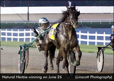 Natural Herbie Triumphs In Hoosier Invite