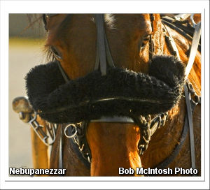 Setback For Nebupanezzar 