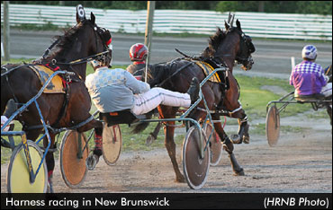 No Atlantic Sires Stakes For N.B.
