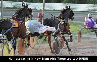 New Brunswick Racing Backs HRNB