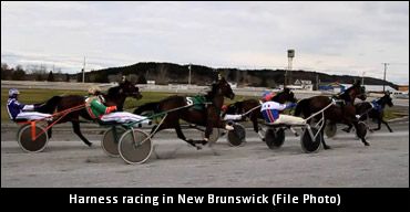 Injunction In New Brunswick