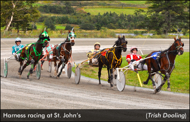 No Racing, Simulcast At St. John's
