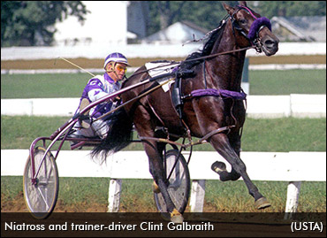 Throwback Thursday: Niatross