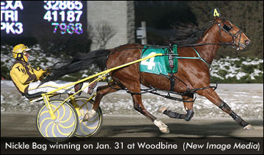 Nickle Bag Wins Woodbine Preferred