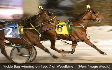 Nickle Bag's Stock Is Rising