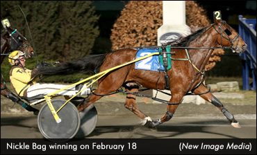 Nickle Bag Returns To Winner's Circle