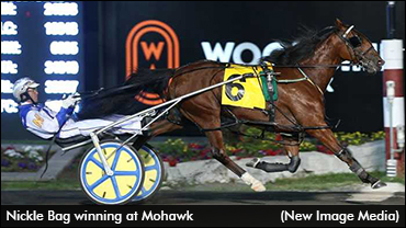 Nickle Bag Targets Year-End Return