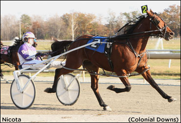 Day Of Champions Closes Colonial Meet