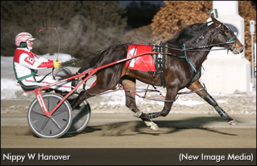 Perfect Conditions For A 'Nippy' Win