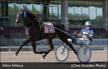 Nitro Nittany Leads 'Keystone' Winners