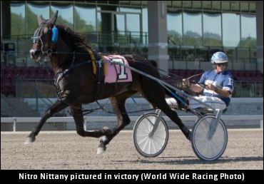 Raymer On His Oaks Fillies